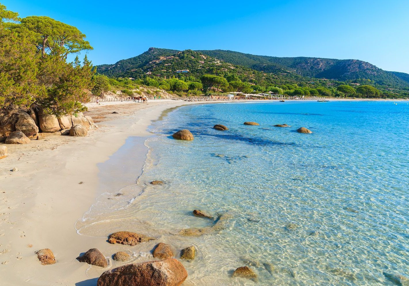 les-cinq-plus-belles-plages-de-corse-pour-des-vacances-paradisiaques-129